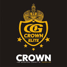 Crown ZNF Mobile Phone Panel & Screen